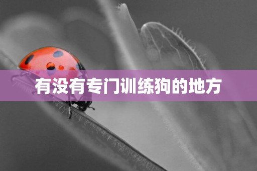 有沒有專門訓練狗的地方