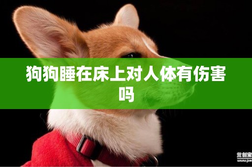狗狗睡在床上對人體有傷害嗎