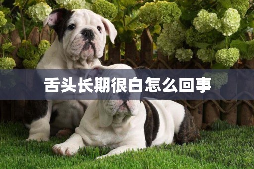 舌頭長期很白怎么回事
