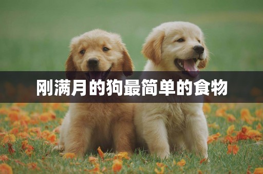 剛滿月的狗最簡單的食物