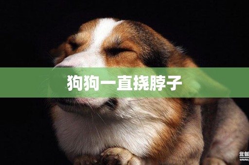 狗狗一直撓脖子