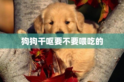 狗狗干嘔要不要喂吃的