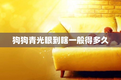 狗狗青光眼到瞎一般得多久