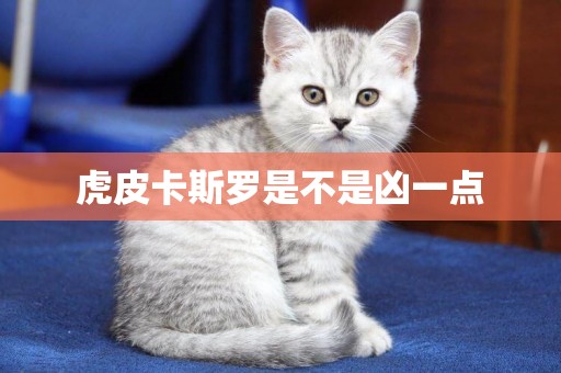 虎皮卡斯羅是不是兇一點