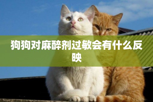 狗狗對麻醉劑過敏會有什么反映