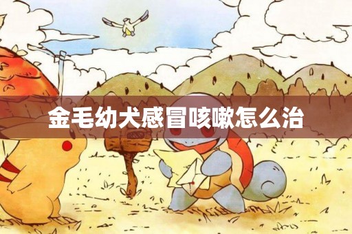 金毛幼犬感冒咳嗽怎么治