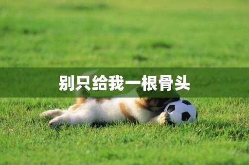 別只給我一根骨頭