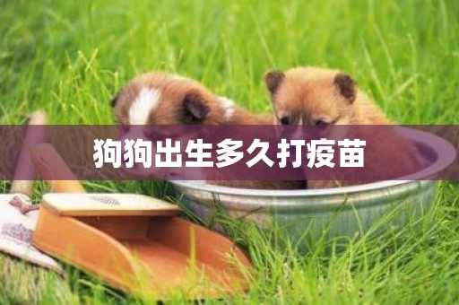 狗狗出生多久打疫苗