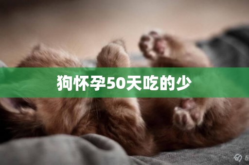 狗懷孕50天吃的少