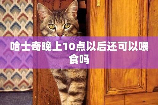 哈士奇晚上10點以后還可以喂食嗎