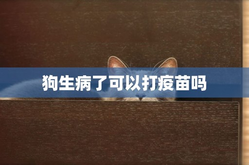 狗生病了可以打疫苗嗎
