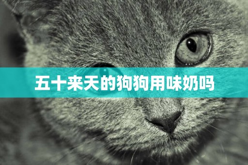 五十來天的狗狗用味奶嗎