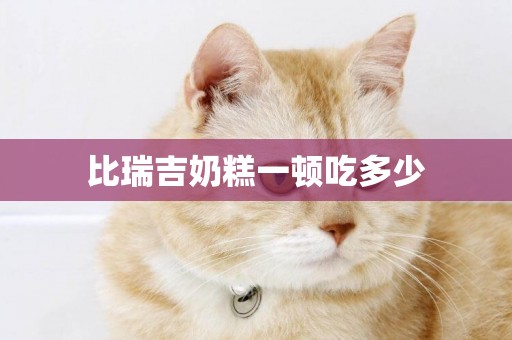 比瑞吉奶糕一頓吃多少