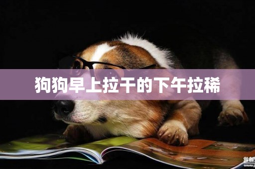 狗狗早上拉干的下午拉稀