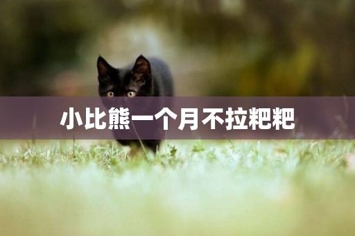 小比熊一個月不拉粑粑