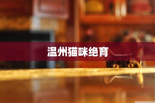 溫州貓咪絕育