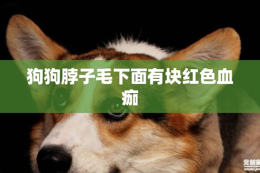 狗狗脖子毛下面有塊紅色血痂
