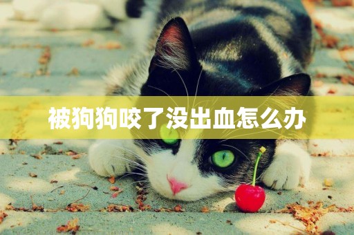被狗狗咬了沒出血怎么辦