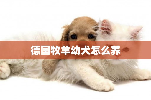 德國牧羊幼犬怎么養