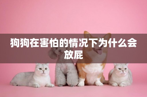 狗狗在害怕的情況下為什么會放屁