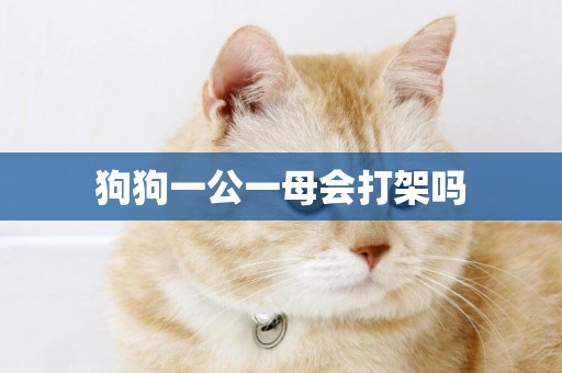 狗狗一公一母會打架嗎