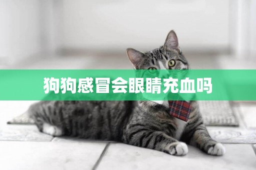 狗狗感冒會眼睛充血嗎