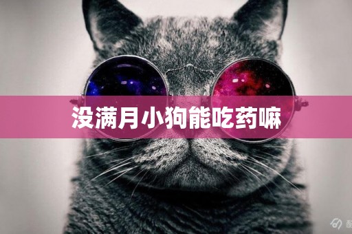 沒滿月小狗能吃藥嘛