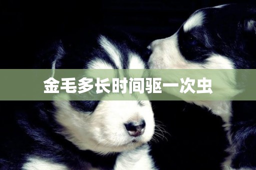 金毛多長時間驅一次蟲