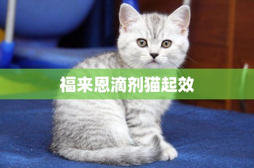 福來恩滴劑貓起效