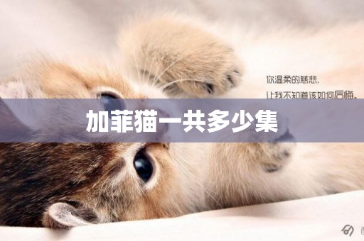 加菲貓一共多少集