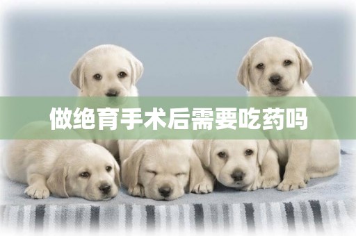 做絕育手術后需要吃藥嗎