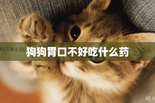 狗狗胃口不好吃什么藥