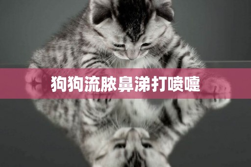 狗狗流膿鼻涕打噴嚏