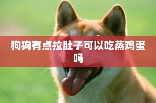 狗狗有點拉肚子可以吃蒸雞蛋嗎