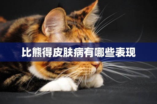 比熊得皮膚病有哪些表現