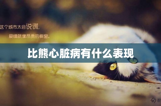 比熊心臟病有什么表現