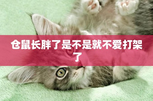 倉鼠長胖了是不是就不愛打架了