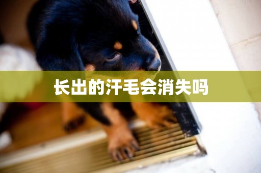 長出的汗毛會消失嗎