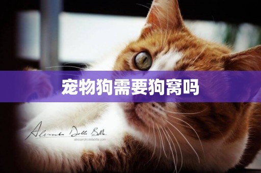 寵物狗需要狗窩嗎