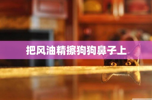 把風油精擦狗狗鼻子上