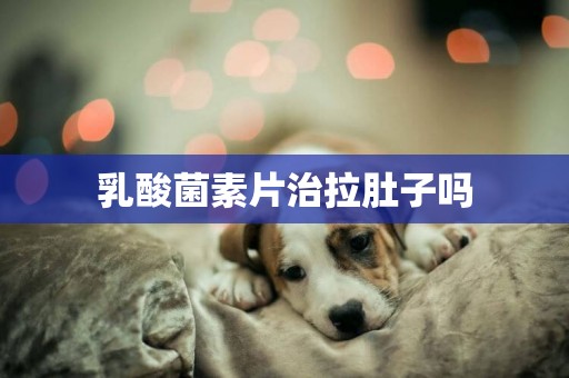 乳酸菌素片治拉肚子嗎