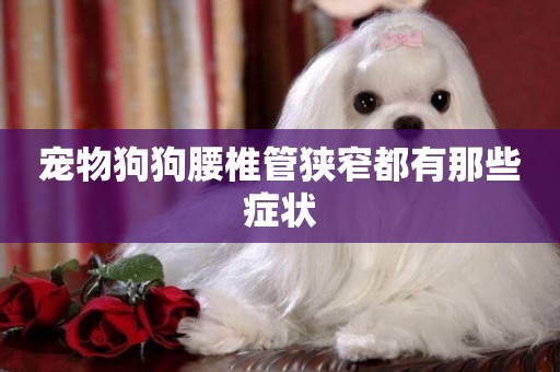 寵物狗狗腰椎管狹窄都有那些癥狀