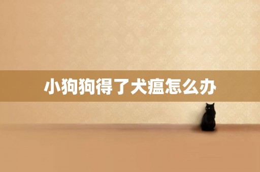 小狗狗得了犬瘟怎么辦