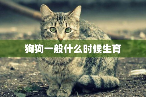 狗狗一般什么時候生育