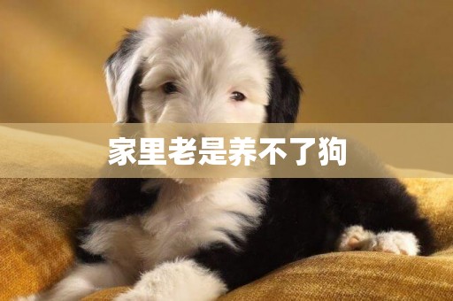 家里老是養不了狗