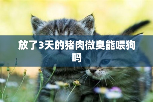 放了3天的豬肉微臭能喂狗嗎
