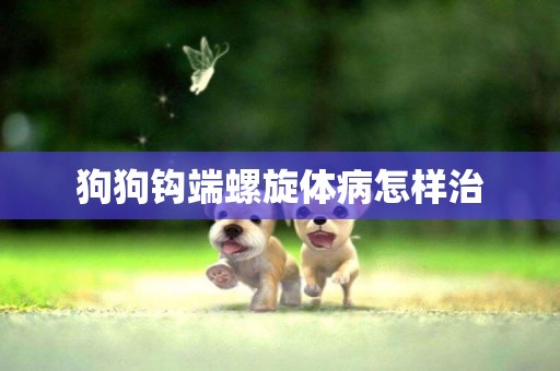 狗狗鉤端螺旋體病怎樣治