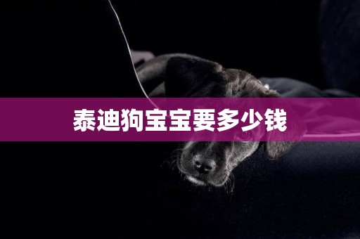 泰迪狗寶寶要多少錢