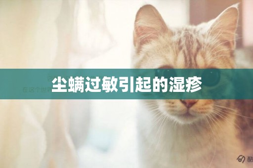 塵螨過敏引起的濕疹