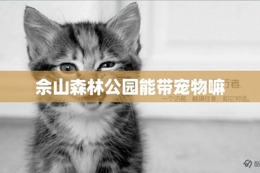 佘山森林公園能帶寵物嘛